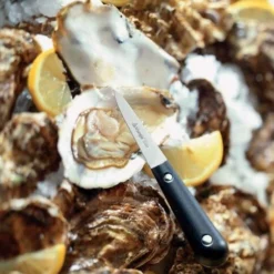 Triangle Austernmesser, Genietet 12 Triangle Austernmesser, Genietet -STAUB shop 224 5420307 i01 web