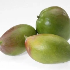 GEFU Mangoteiler -STAUB shop GEFU Mango 024 l