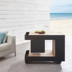 Indu+ Servierwagen IceBoy Mit Kühlbox 12 Indu+ Servierwagen IceBoy Mit Kühlbox -STAUB shop Iceboy neu